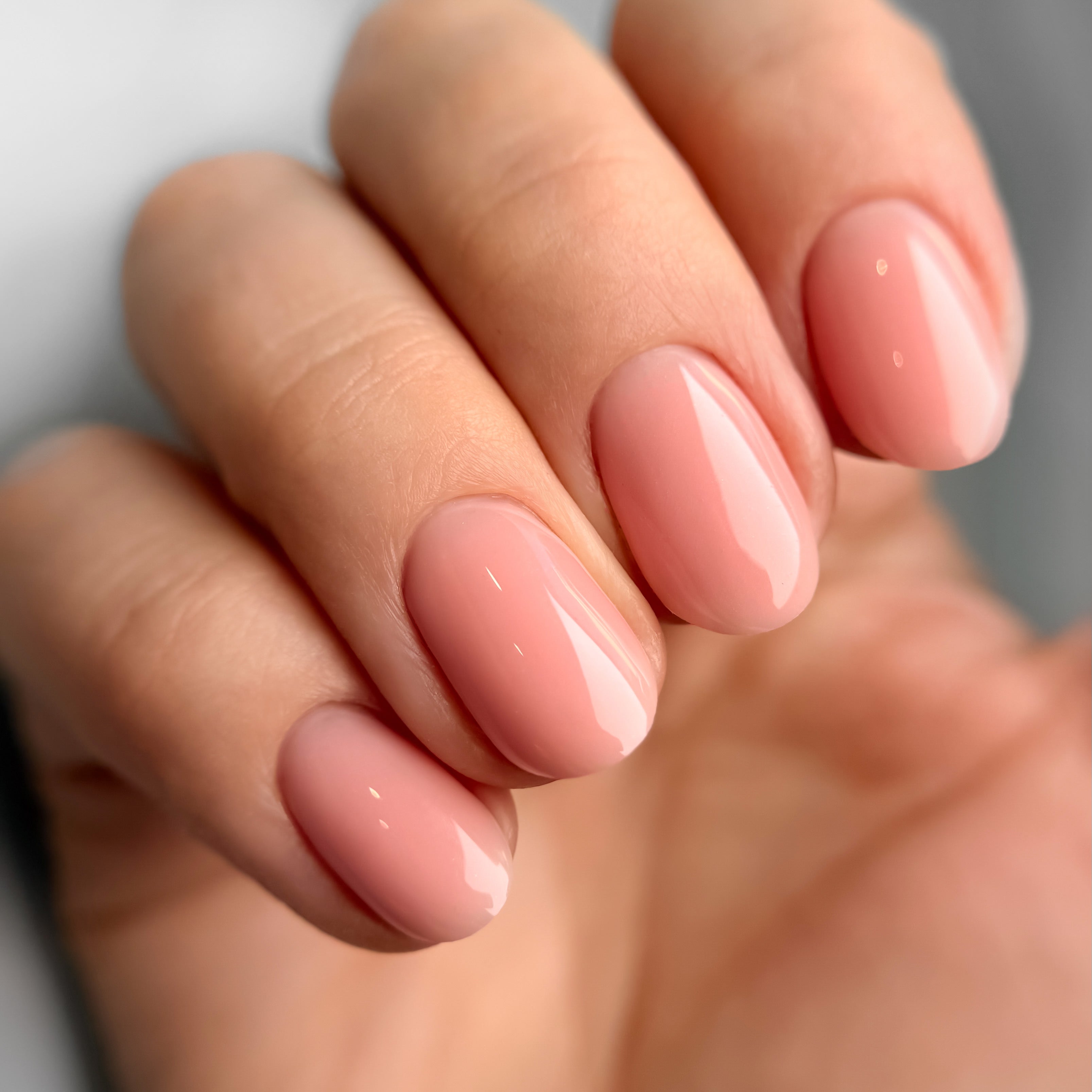 FIBER 1 KOLEKCIJA, RINKINYS