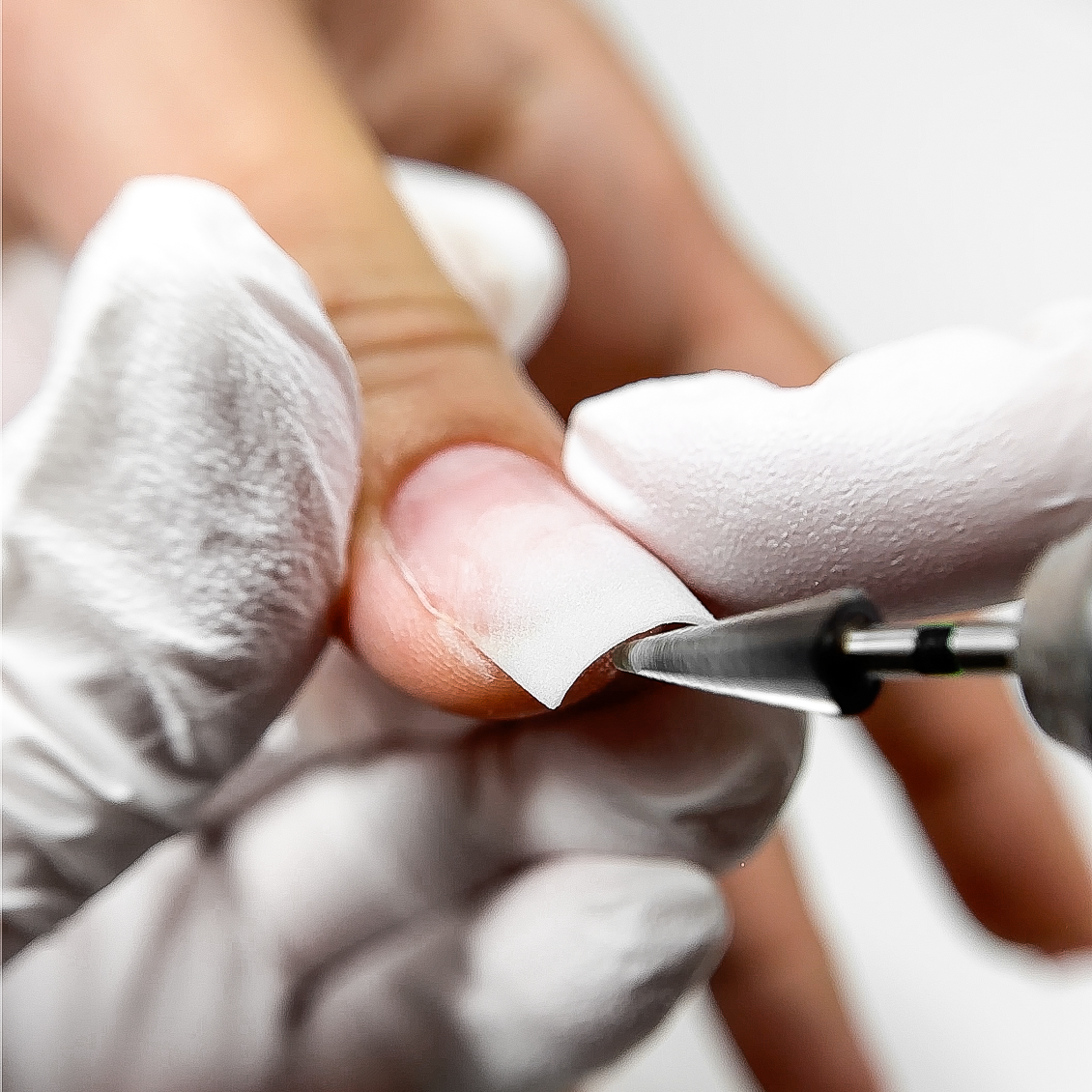 ANTGALIS EGLUTĖ, GRUBUS