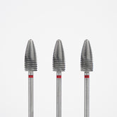 ANTGALIS KANKORĖŽIS, ŠVELNUS | Roja.lt