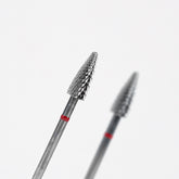 ANTGALIS KANKORĖŽIS, ŠVELNUS | Roja.lt