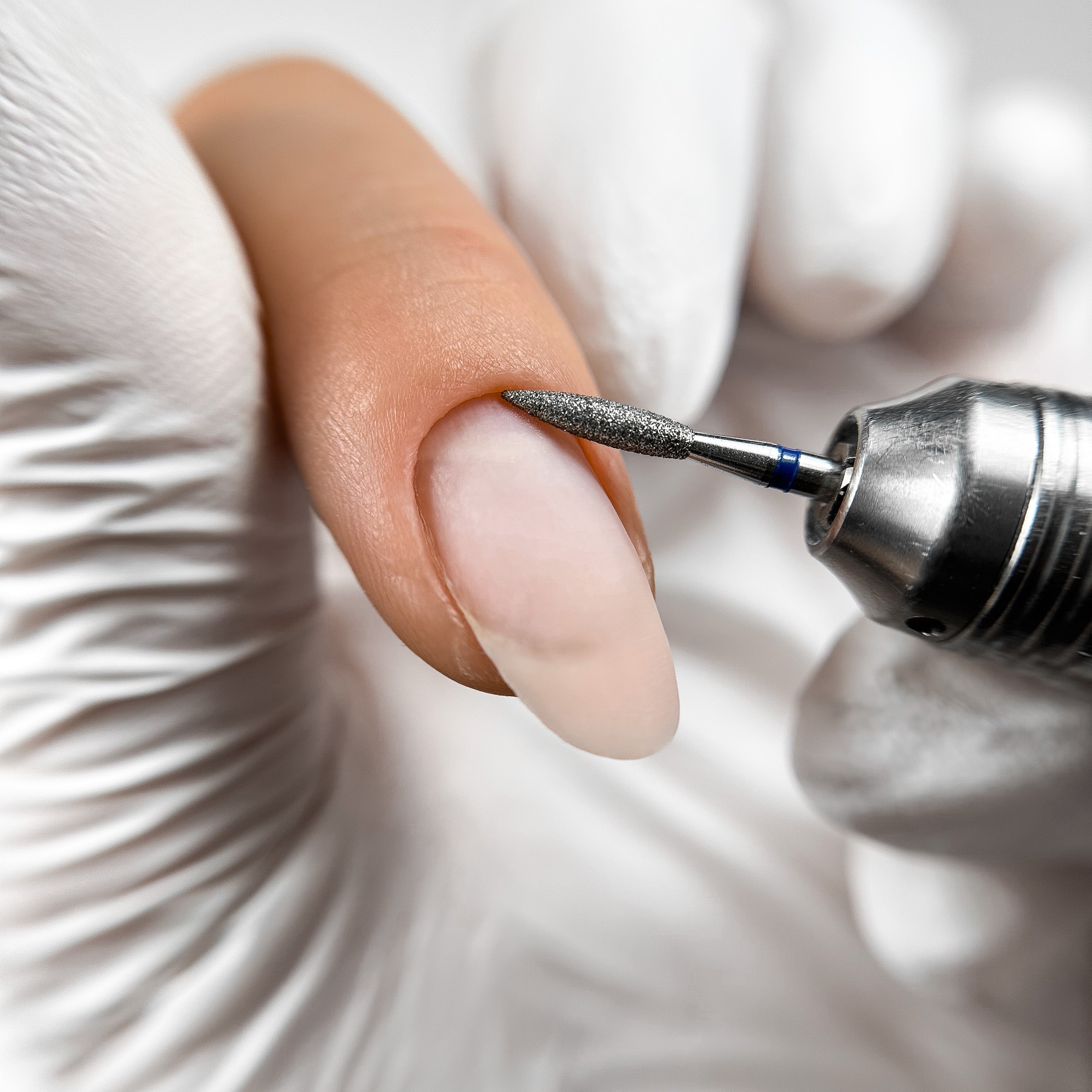 ANTGALIS LIEPSNELĖ 2,3 MM