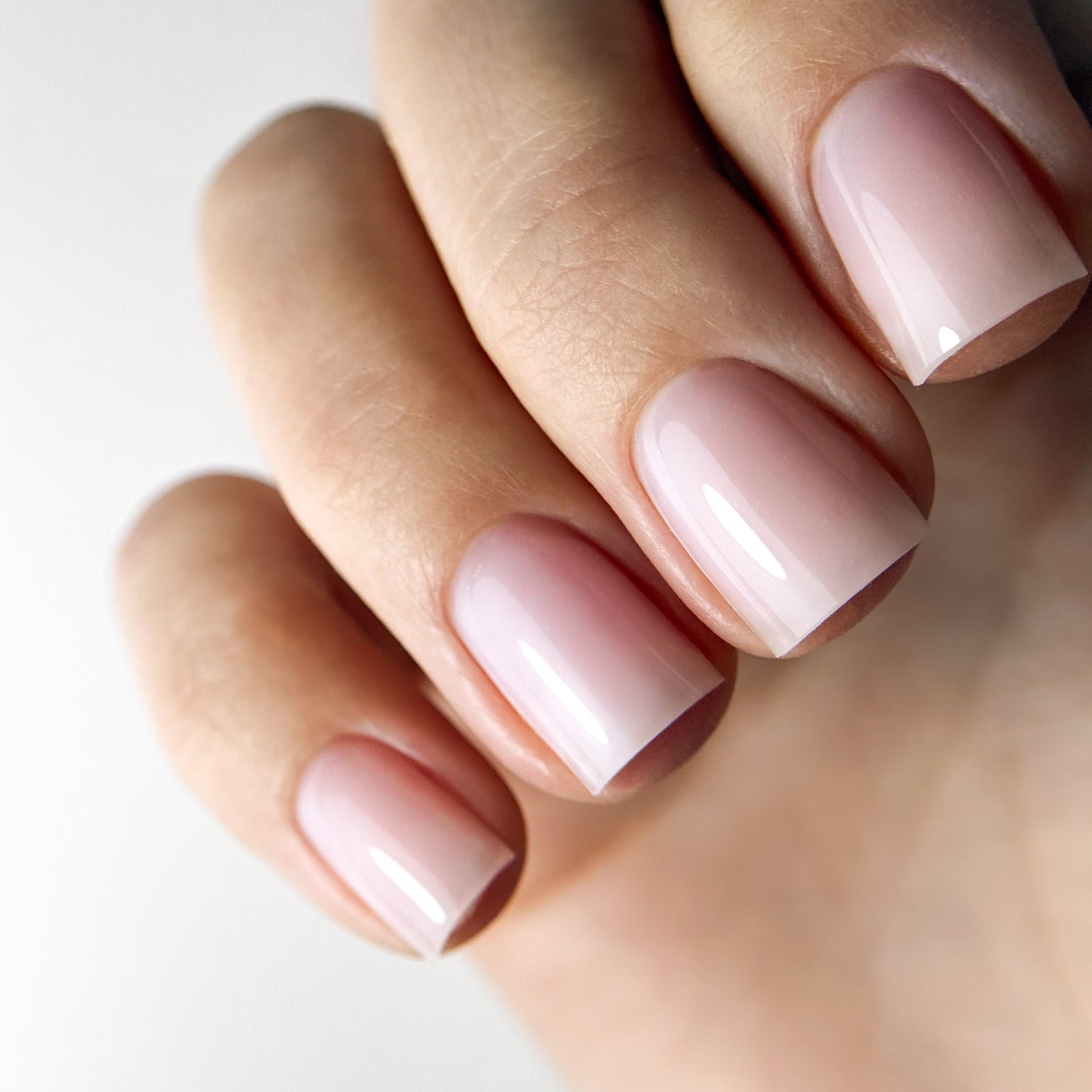 FIBER 2 KOLEKCIJA, RINKINYS