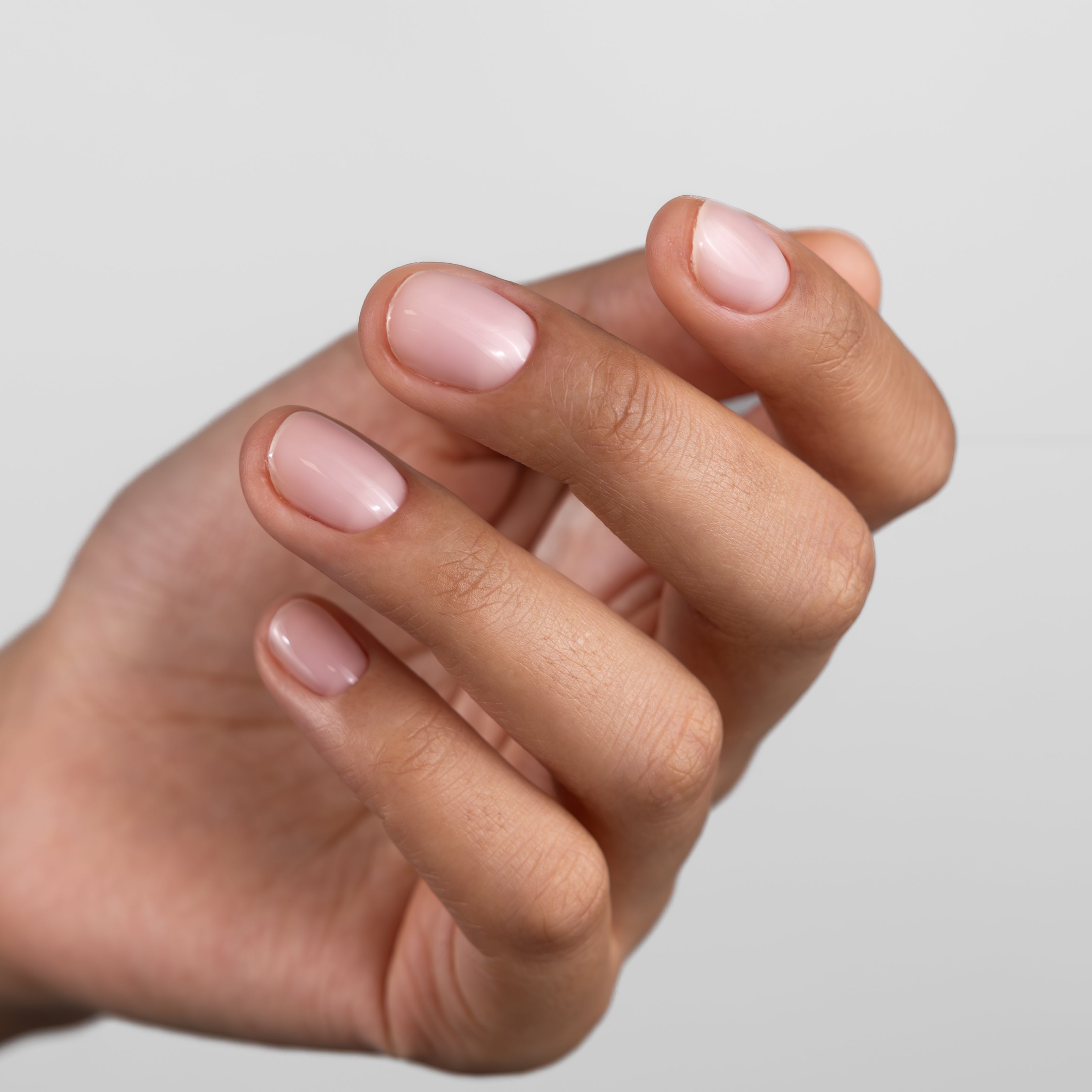 GUMMY BAZĖ, TARTALETTE