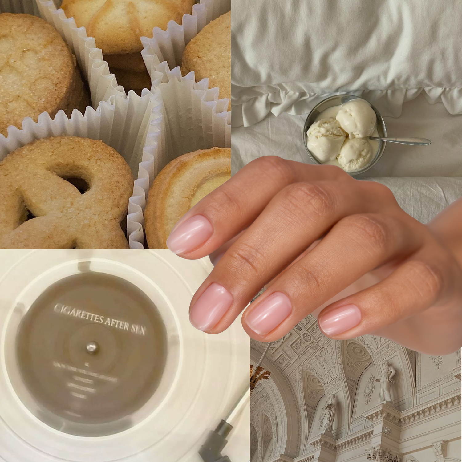 GUMMY BAZĖ, BISCUIT