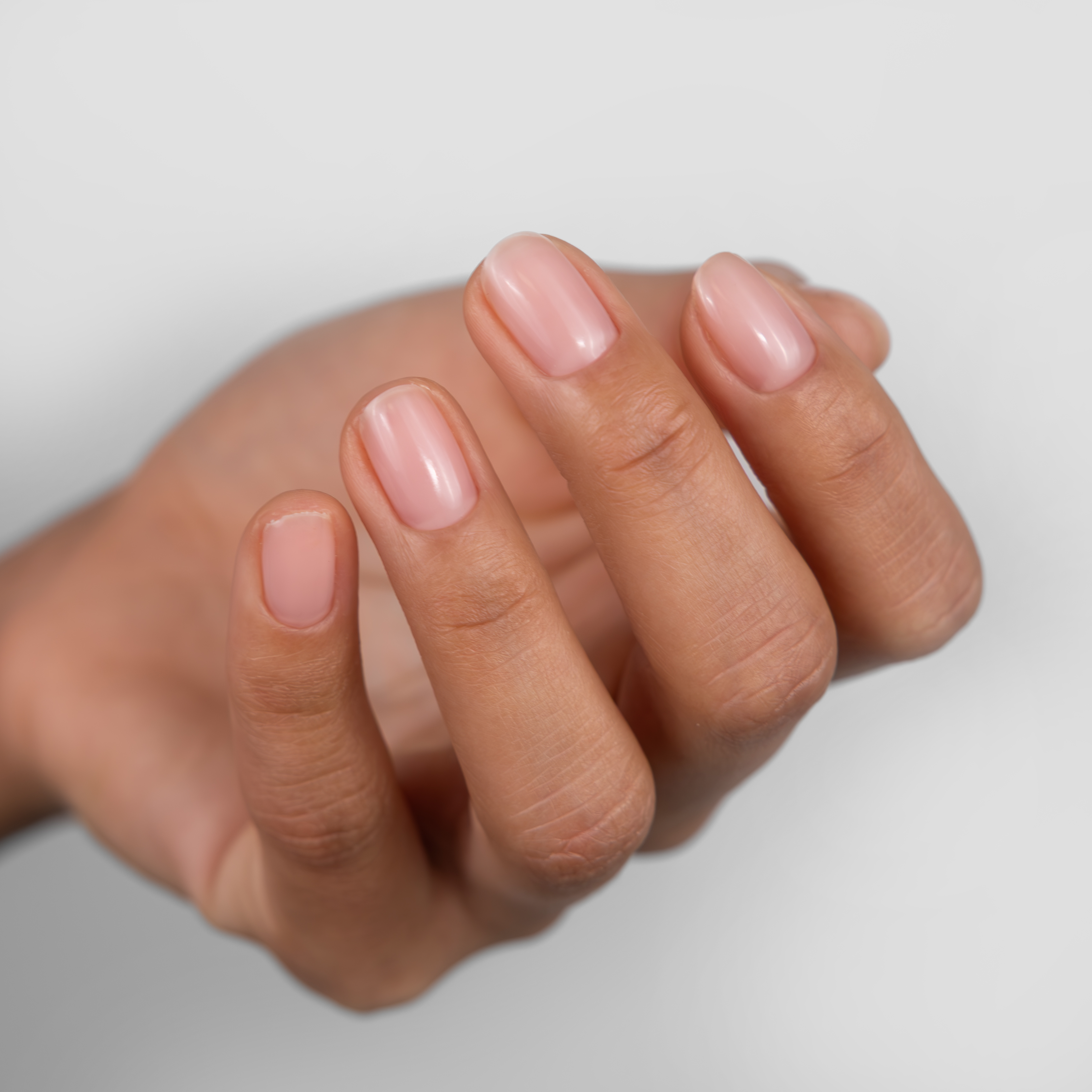 GUMMY 2 KOLEKCIJA, RINKINYS