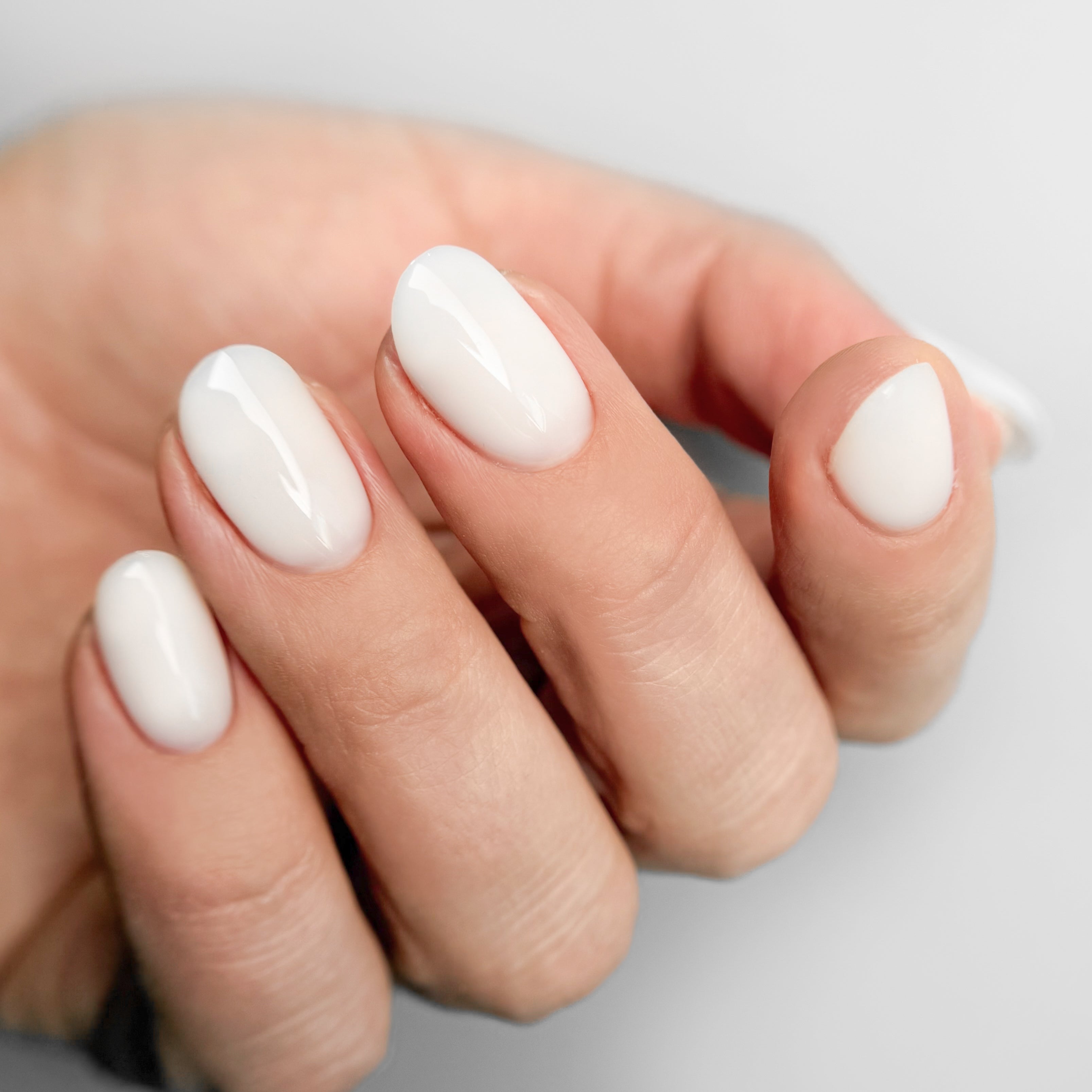 FIBER 2 KOLEKCIJA, RINKINYS