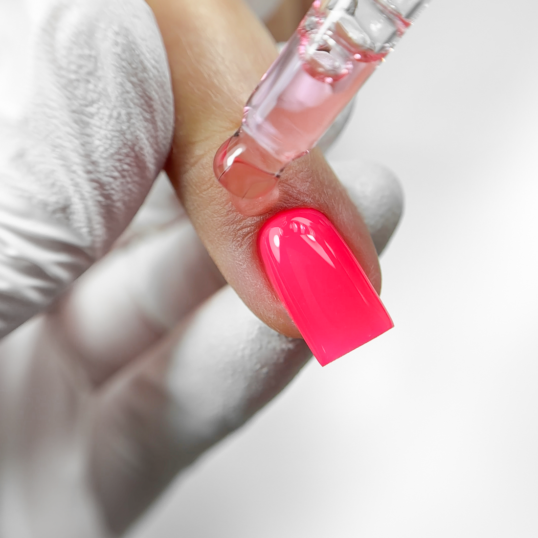 SAUSAS ALIEJUS, FRUIT