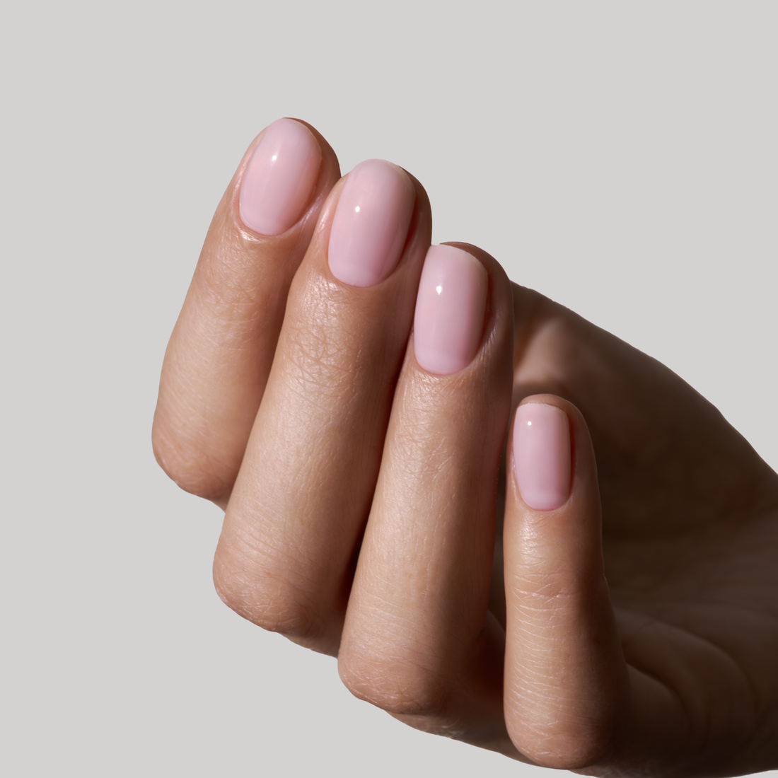 GUMMY BAZĖ, GALETTE