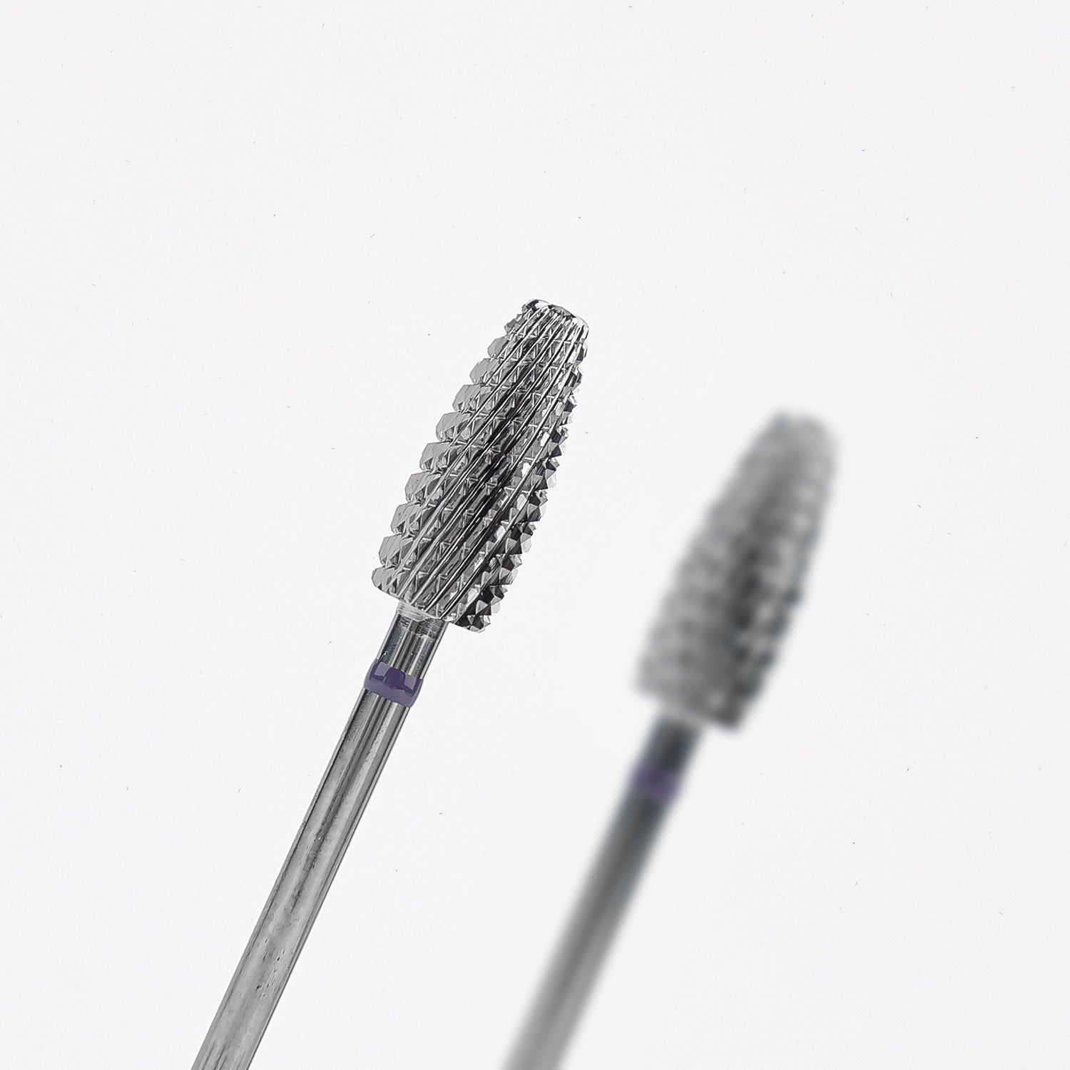 ANTGALIS KANKORĖŽIS, GRUBUS | Roja.lt