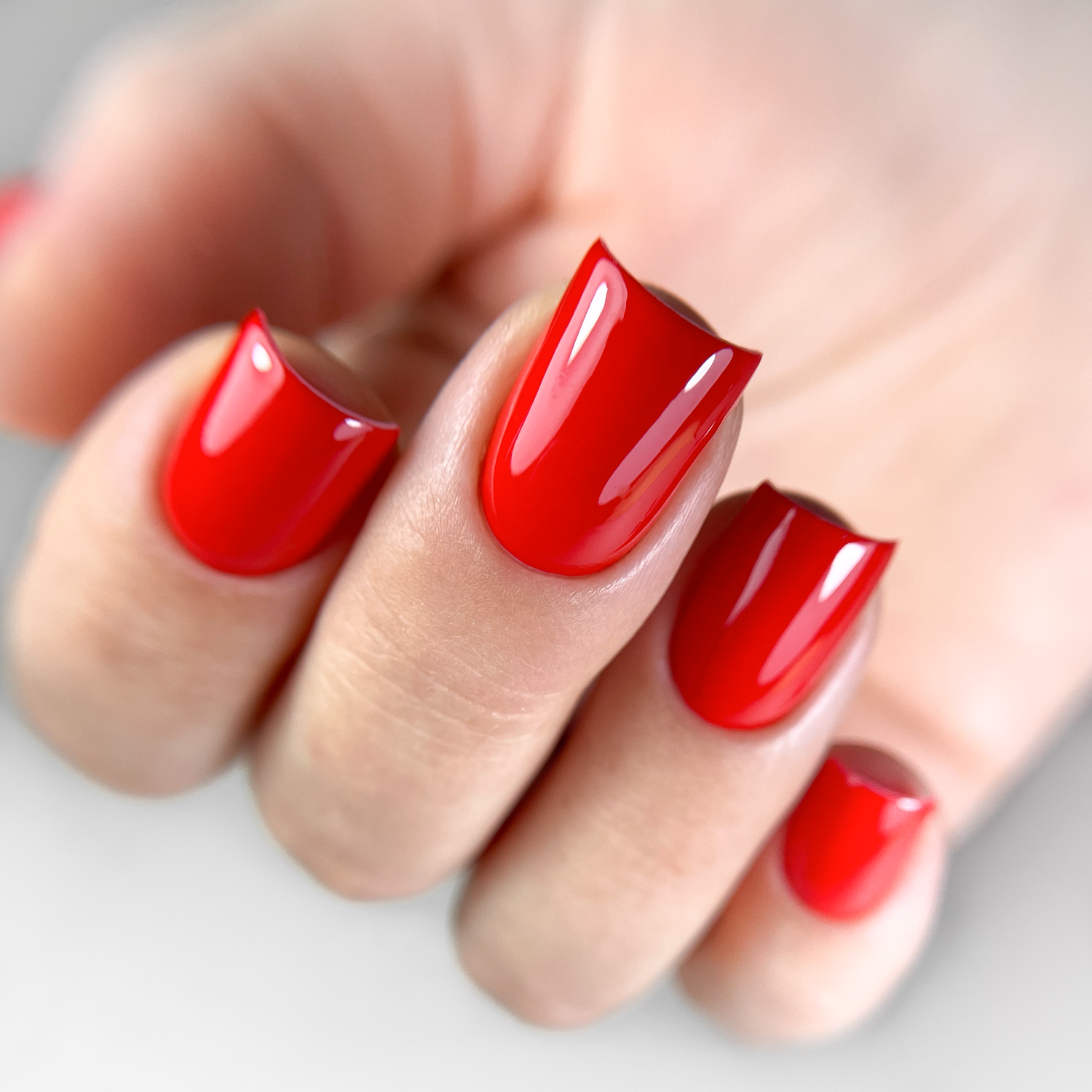 GELINIS LAKAS, ROSEHIP