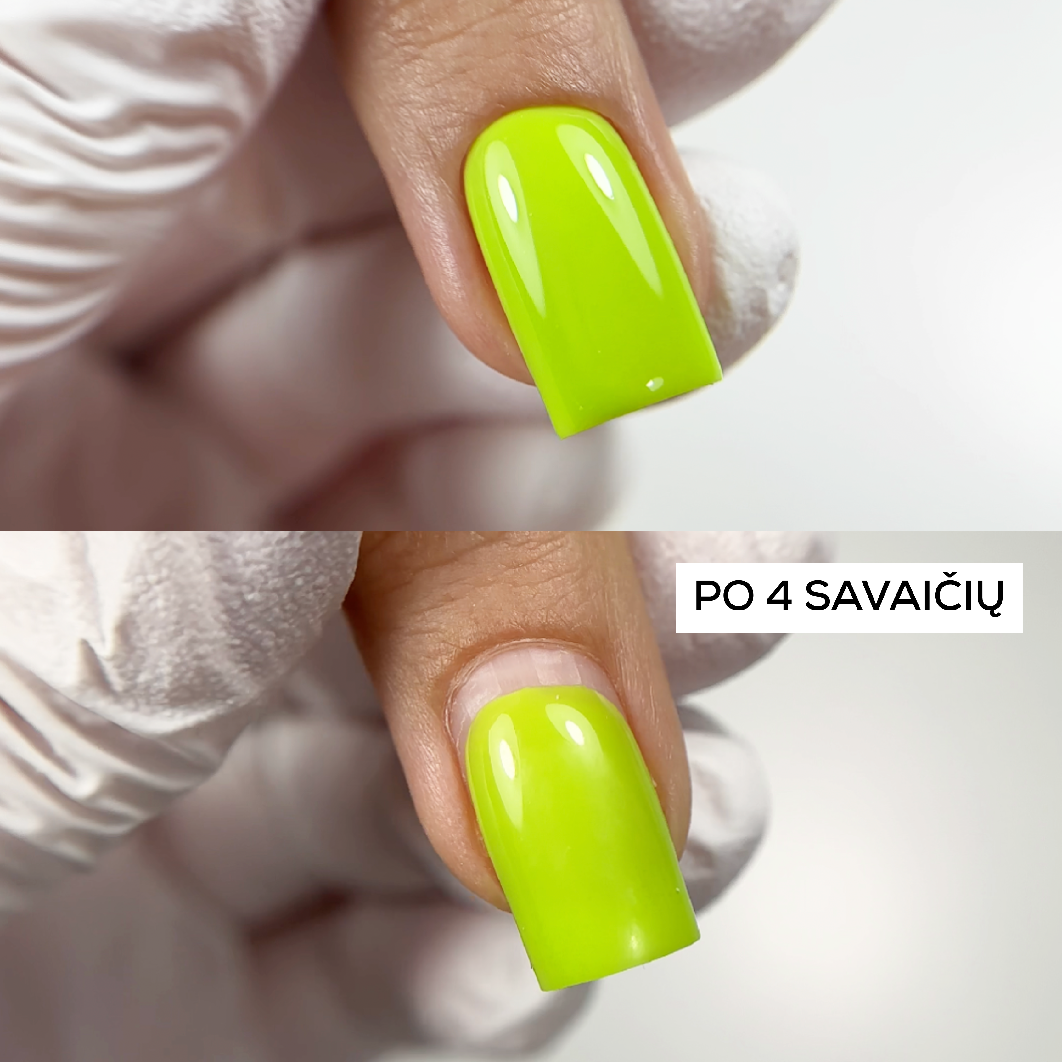 KAUČIUKINĖ BAZĖ, STAY