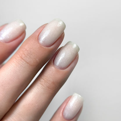 FIBER 1 KOLEKCIJA, RINKINYS