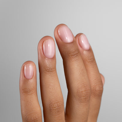 GUMMY BAZĖ, TARTALETTE