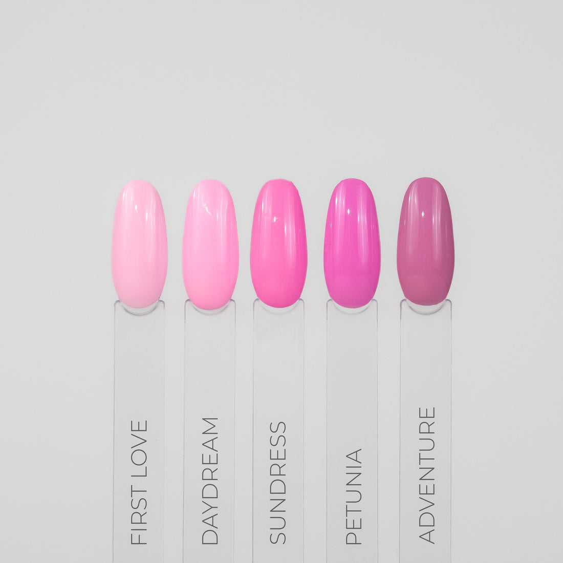 GELINIS LAKAS, PETUNIA